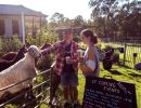 ewe nique hobby farm  