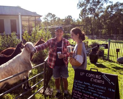 ewe nique hobby farm  
