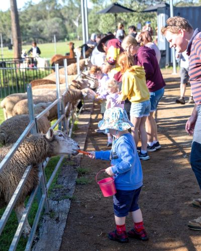 ewe nique hobby farm  
