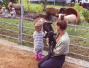 ewe nique hobby farm  