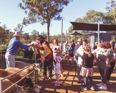 ewe nique hobby farm  