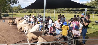 ewe nique hobby farm  
