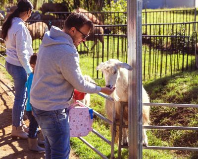 ewe nique hobby farm  
